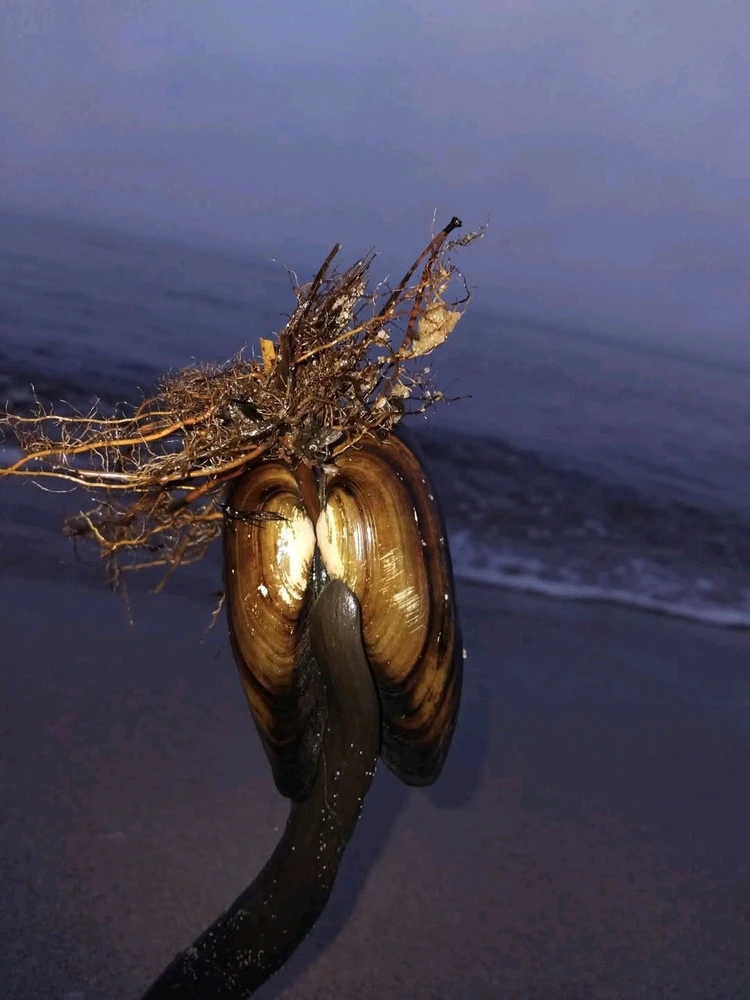 GIF uploaded by Artis