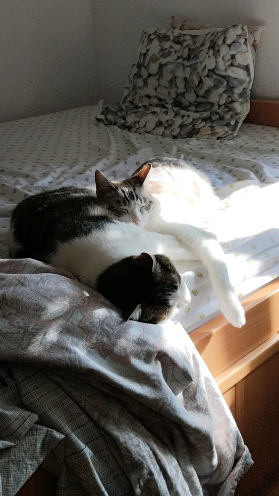 Dianaがアップロードした画像