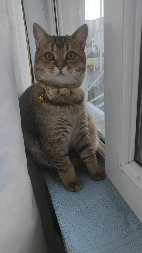 Huh tamam hazırım tarafından yüklenen görsel