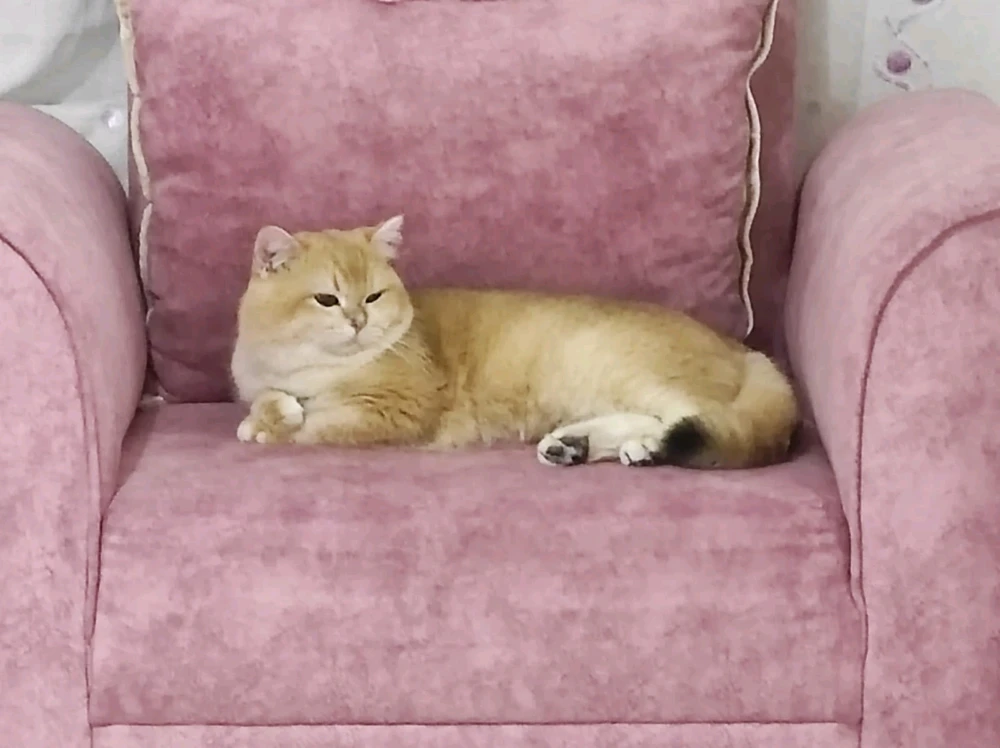 Huh tamam hazırım tarafından yüklenen görsel