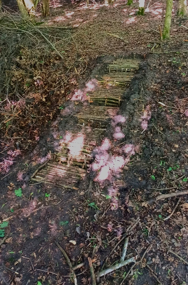 GIF uploaded by Patrik