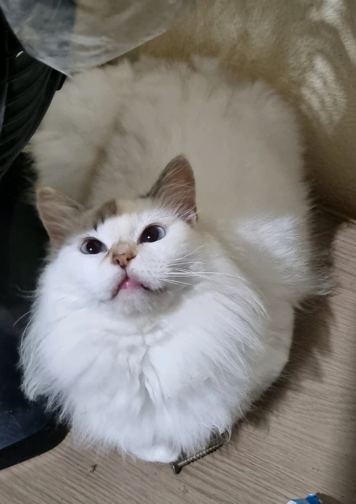 GIF enviado por Simone