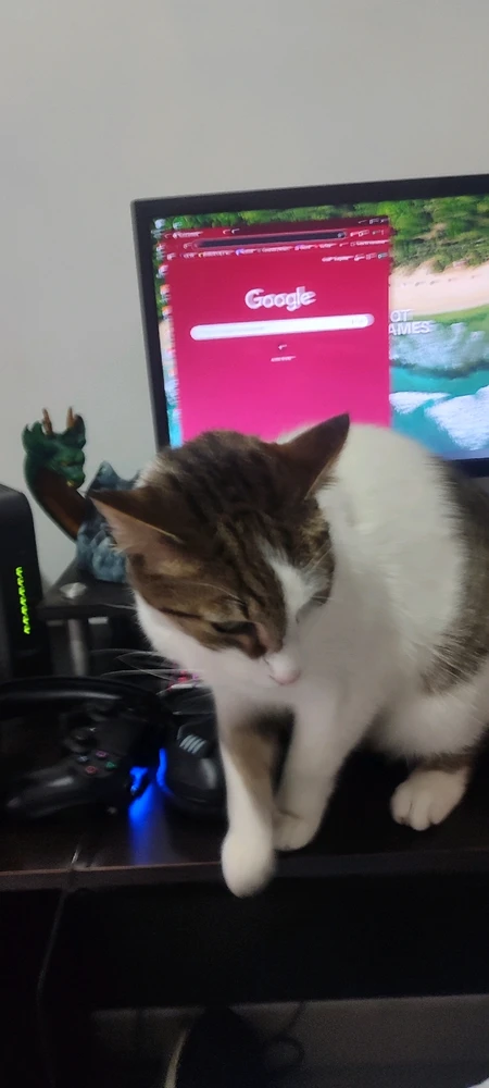 Imagen subida por Danny