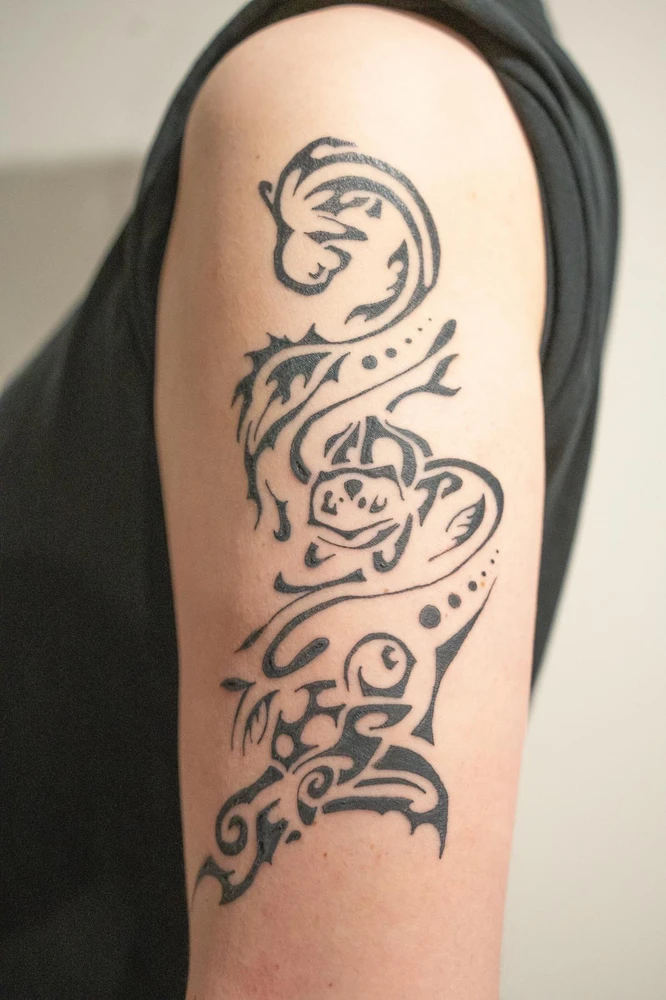 GIF hochgeladen von Lukas