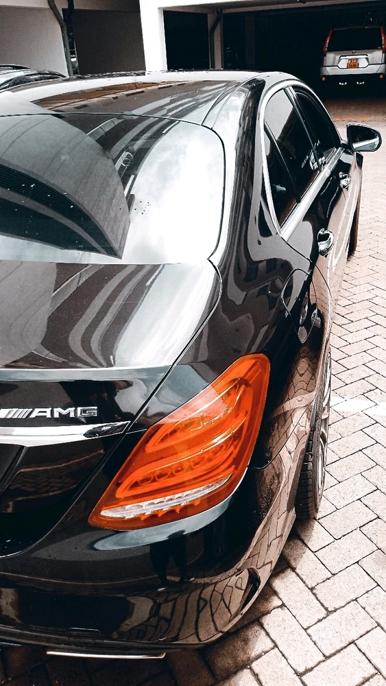 GIF uploaded by Degen