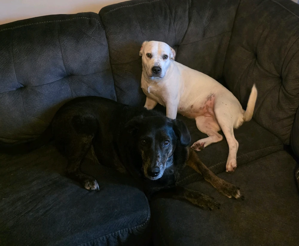 GIF uploaded by Hunter