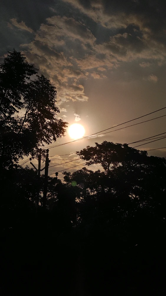 由SreeXD上传的图片