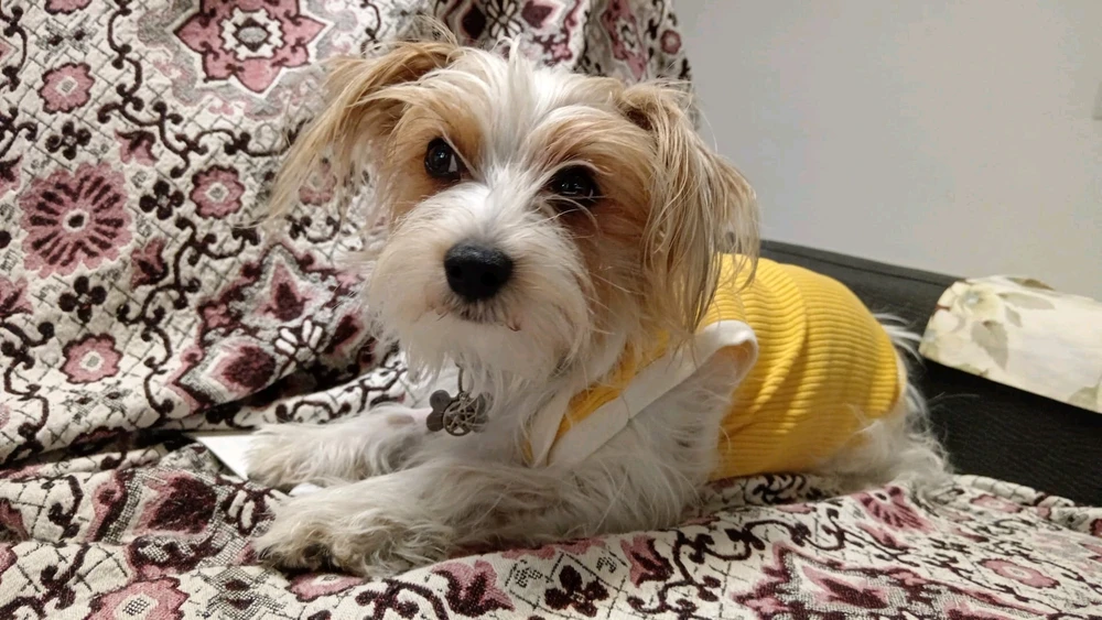 Immagine caricata da Ste