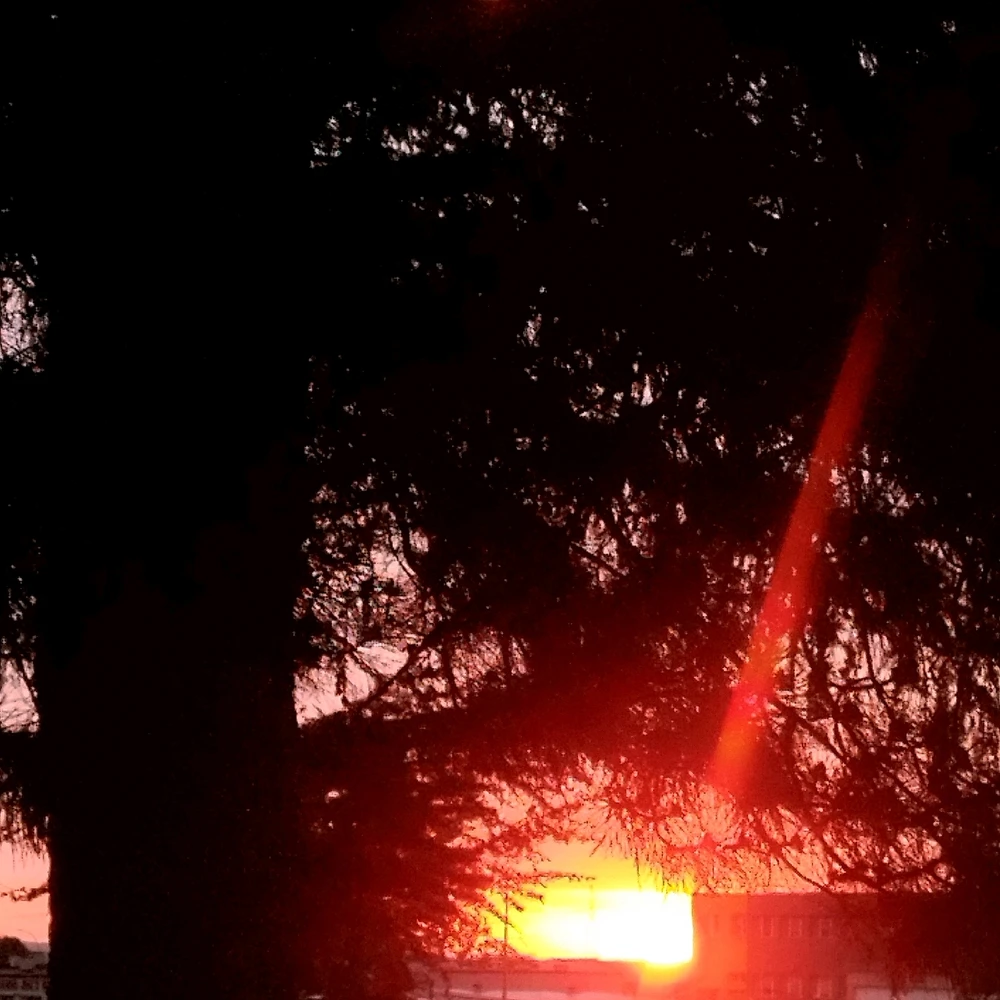 GIF dodany przez Yulia