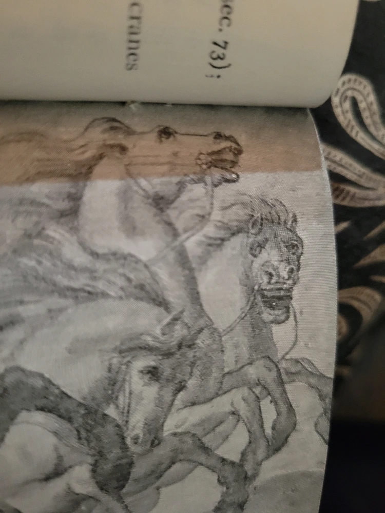 GIF качен от El