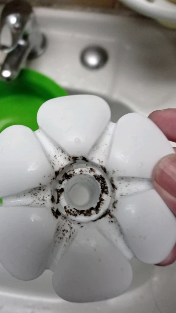 Imagen subida por Felipe Burgos