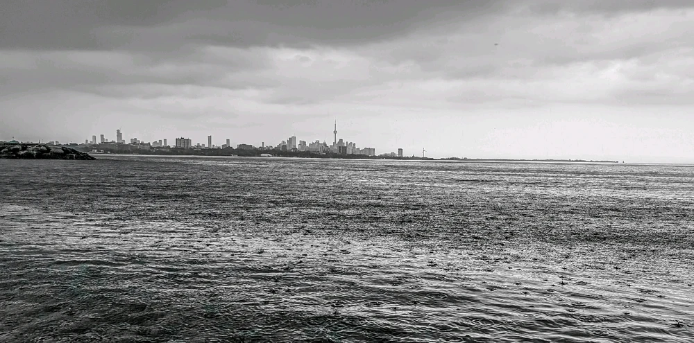 Image uploaded by Dana