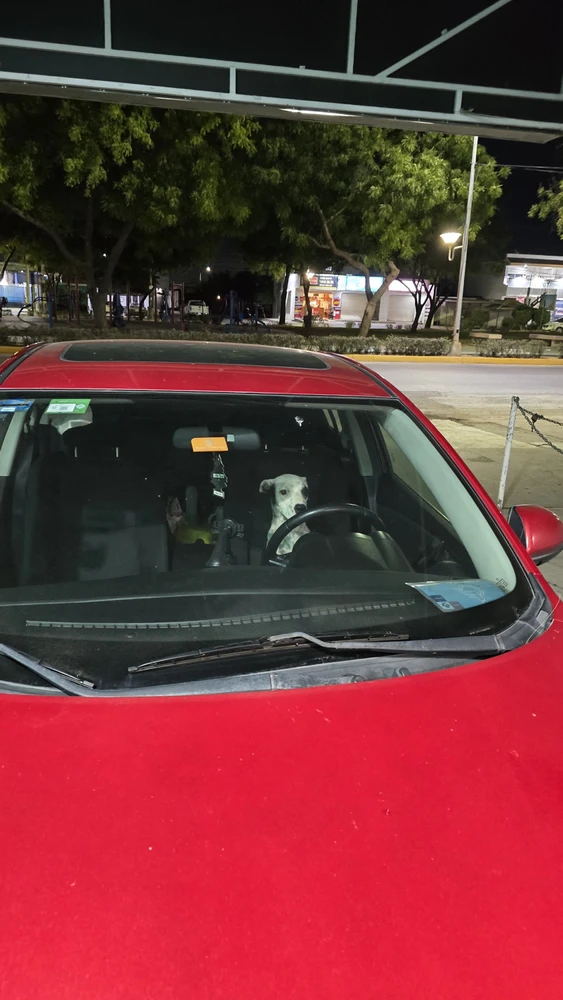 GIF subido por Jesus Salazar