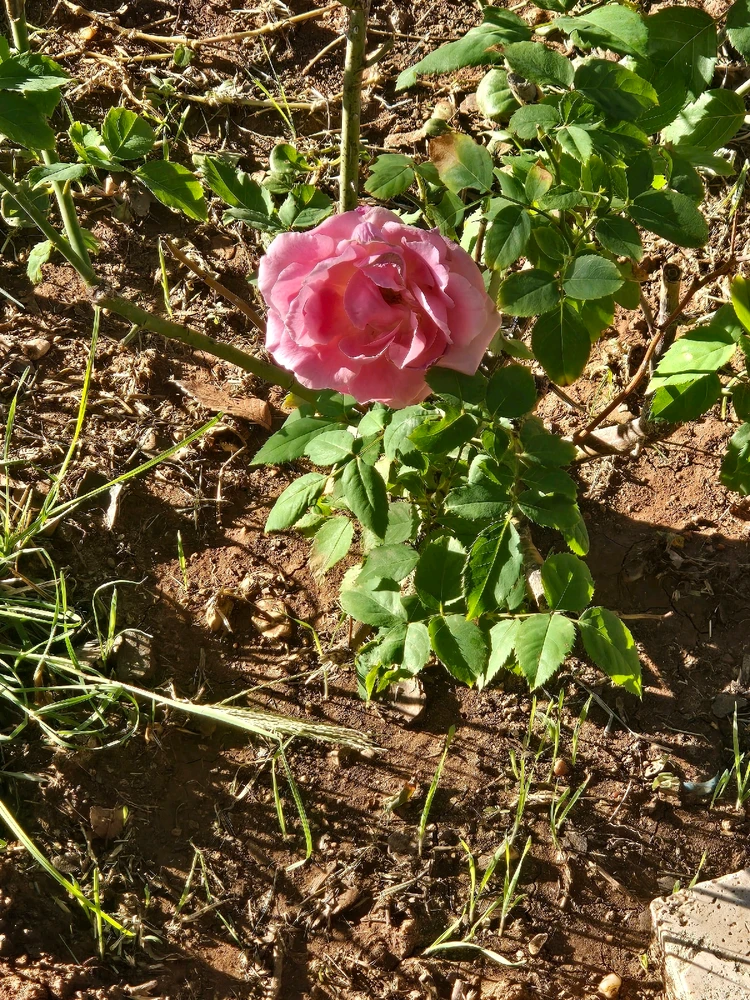 GIF uploaded by James