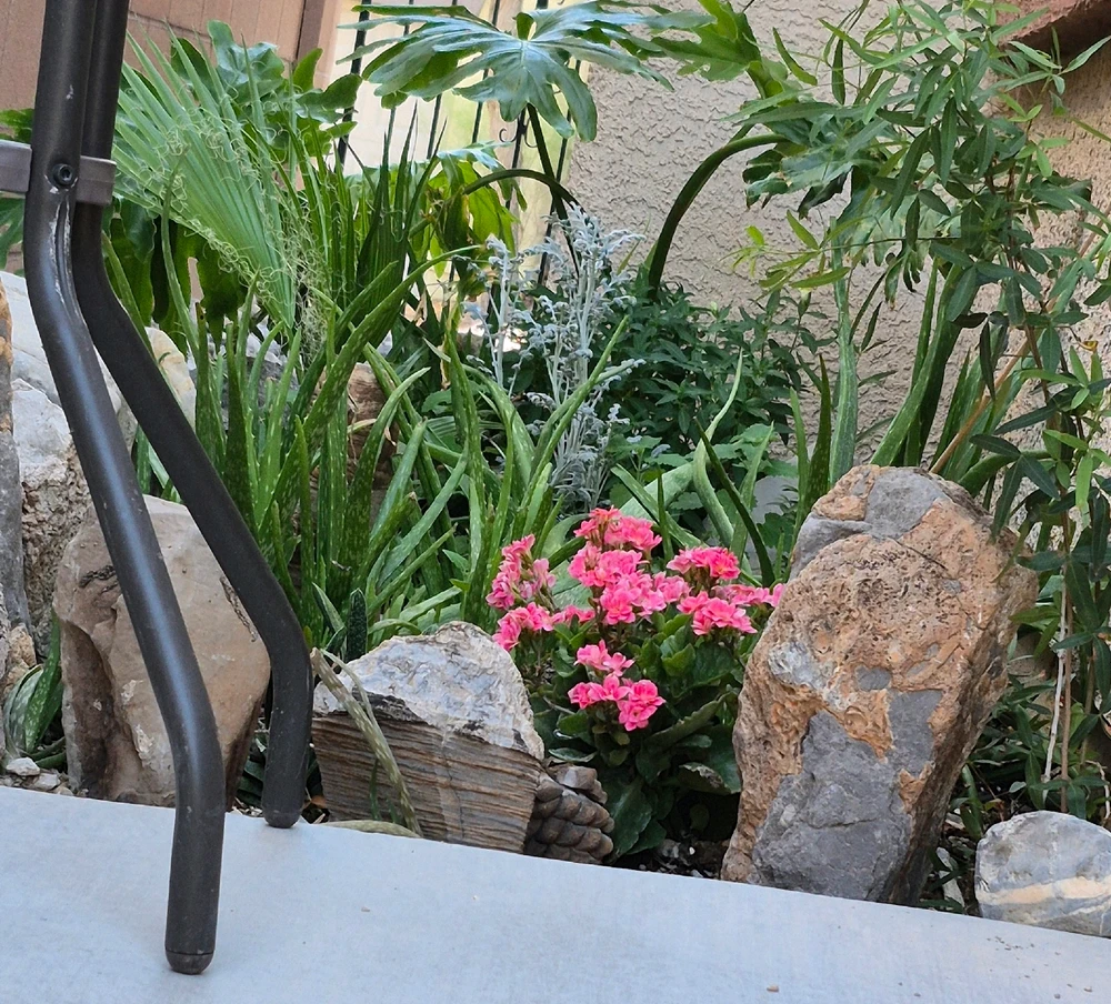 GIF uploaded by Awk