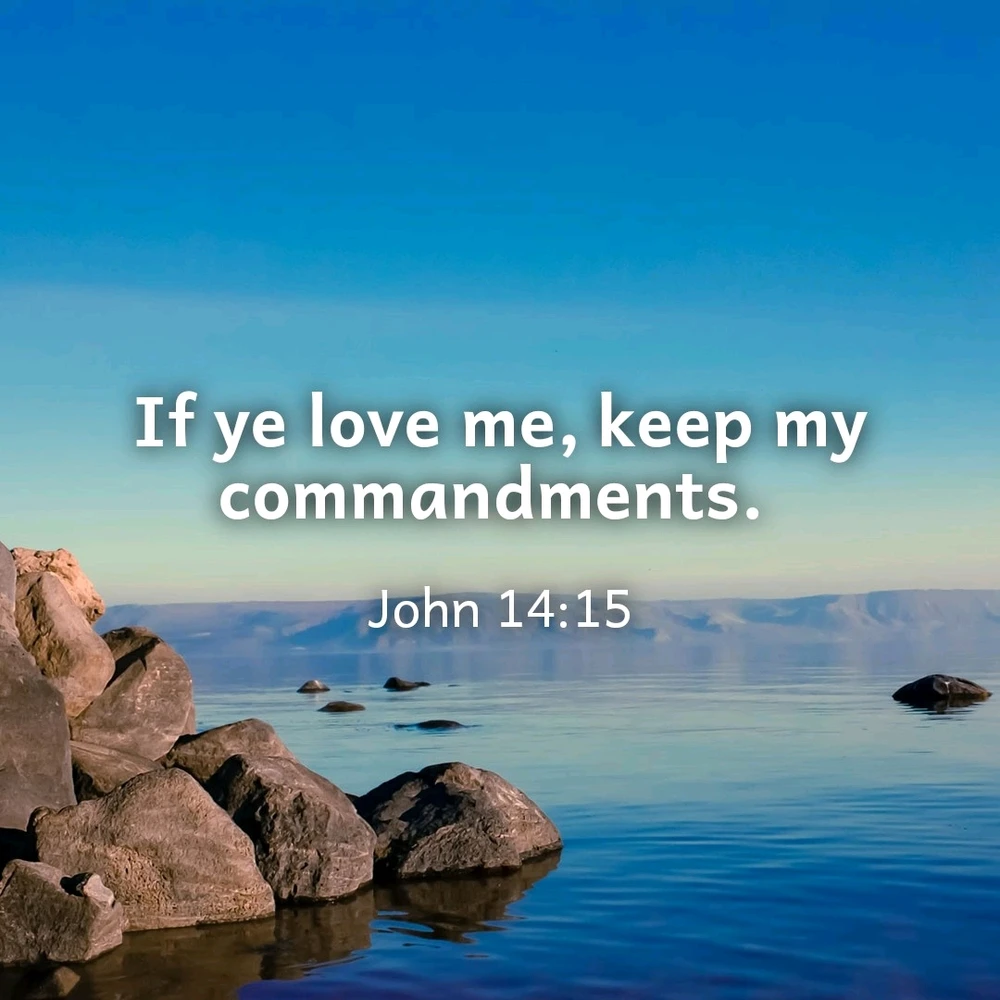 GIF uploaded by Larry