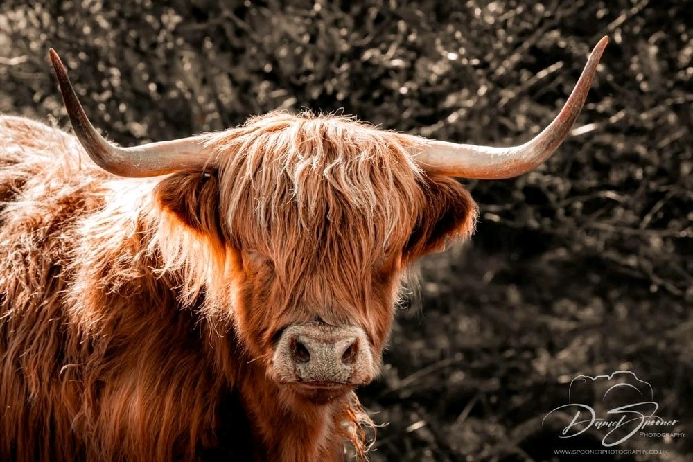 GIF uploaded by Danny