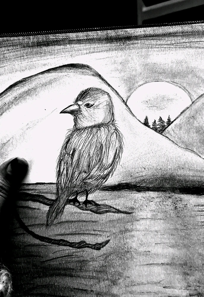 Image uploaded by Maymoona