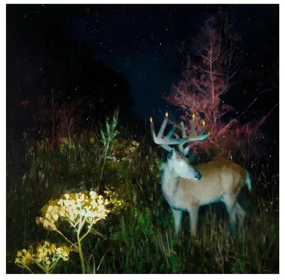 Obrázek nahrál Irónia