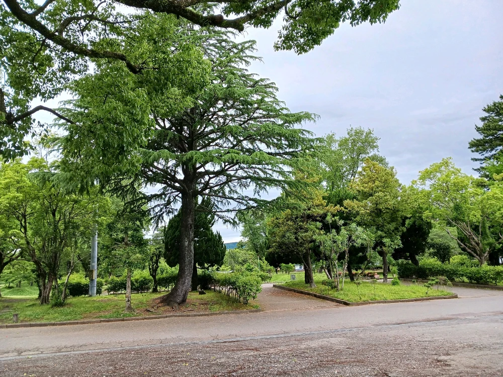 Image uploaded by Miku