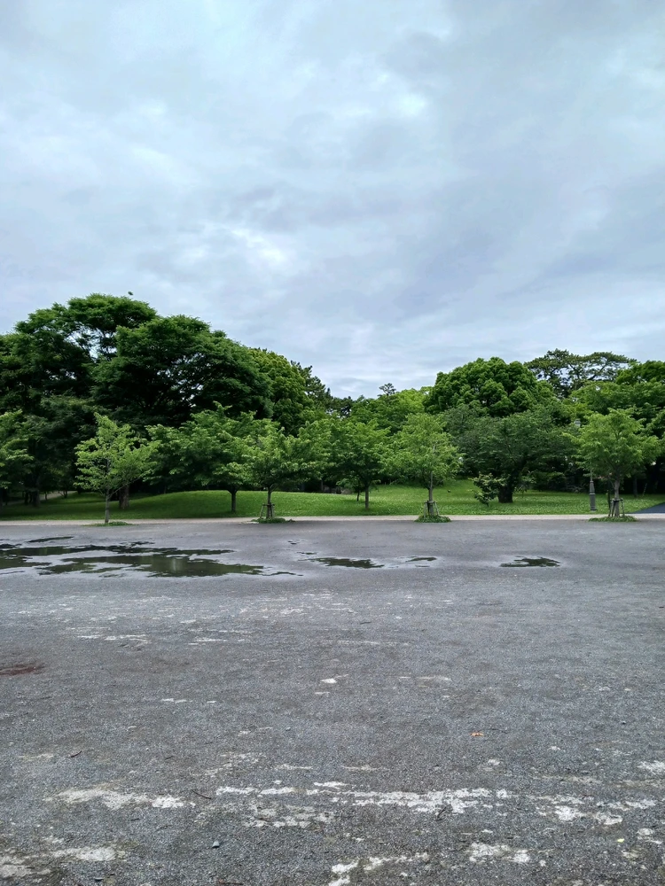 Image uploaded by Miku