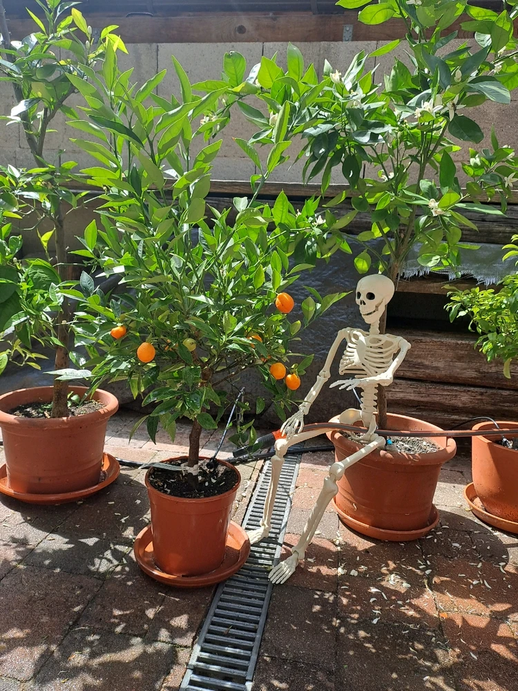 Bruno und ich Teil 5