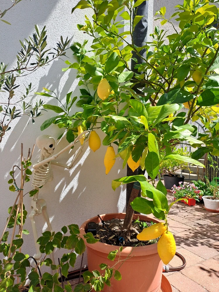 Bruno und ich Teil 5