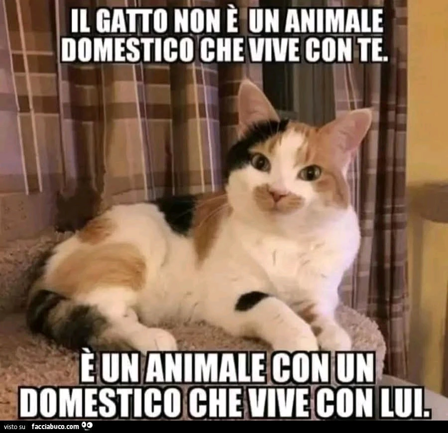 GIF caricata da RopeMan