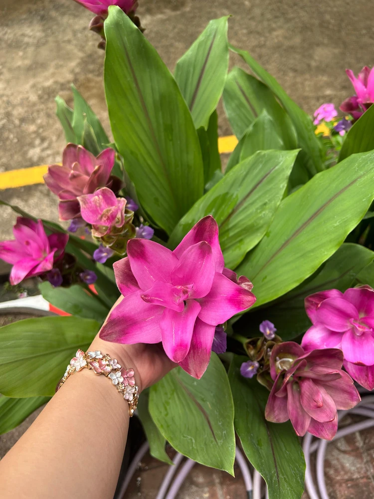 GIF uploaded by Kukkik19