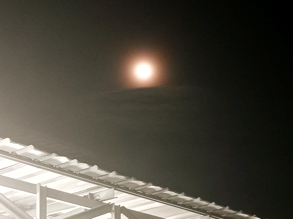 GIF uploaded by Rahmi