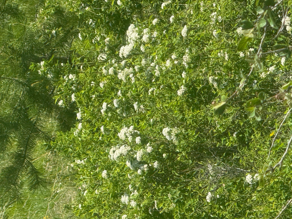 美麗的西伯利亞🙌