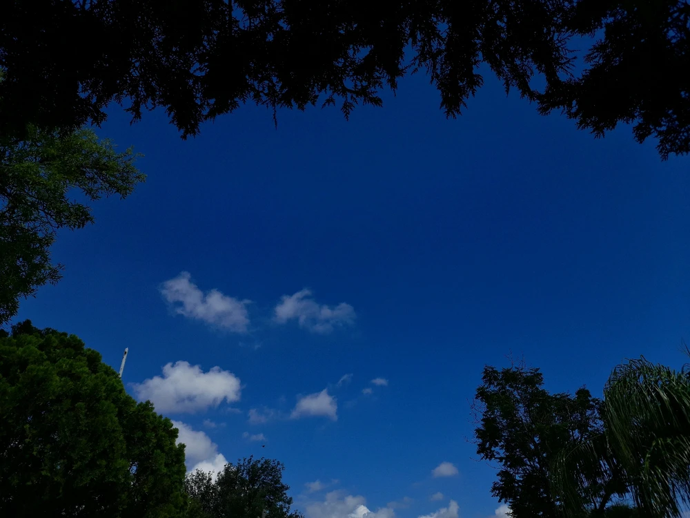 GIF subido por Hanna