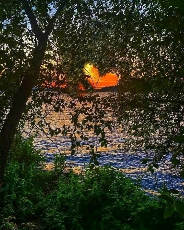 🌞💛✨ Una Tarde de Luz, Fortaleza y Fe para las Almas que Amo! 💫🌿🙏🏻🌸🕊️