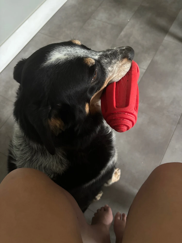 Image uploaded by Jenna