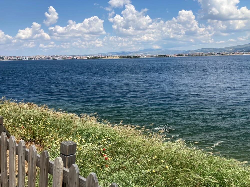 Image uploaded by Arha