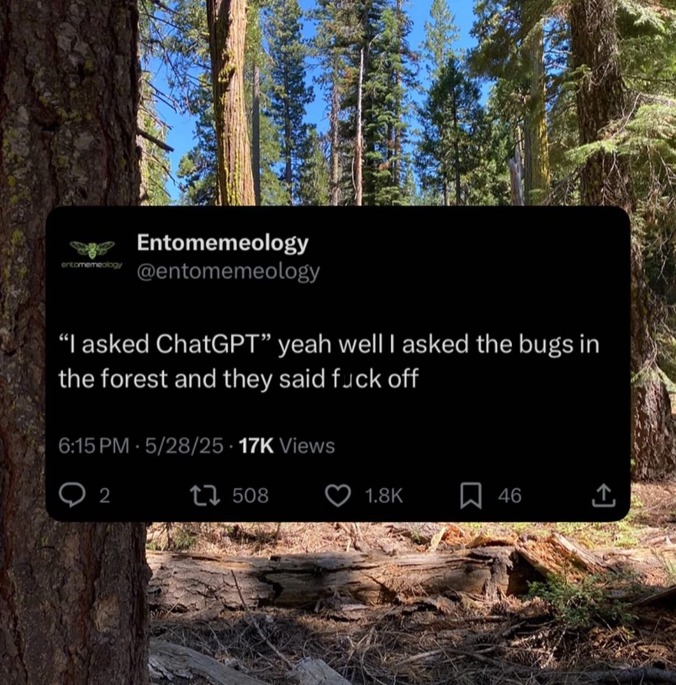 Image uploaded by Serina