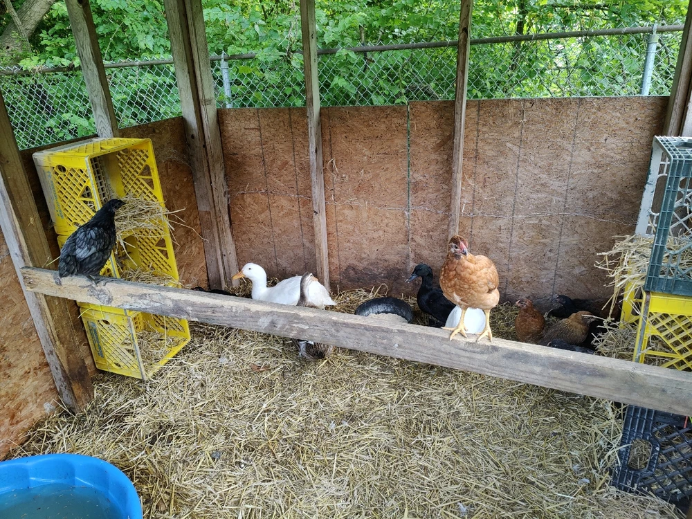 GIF diunggah dening Dorian