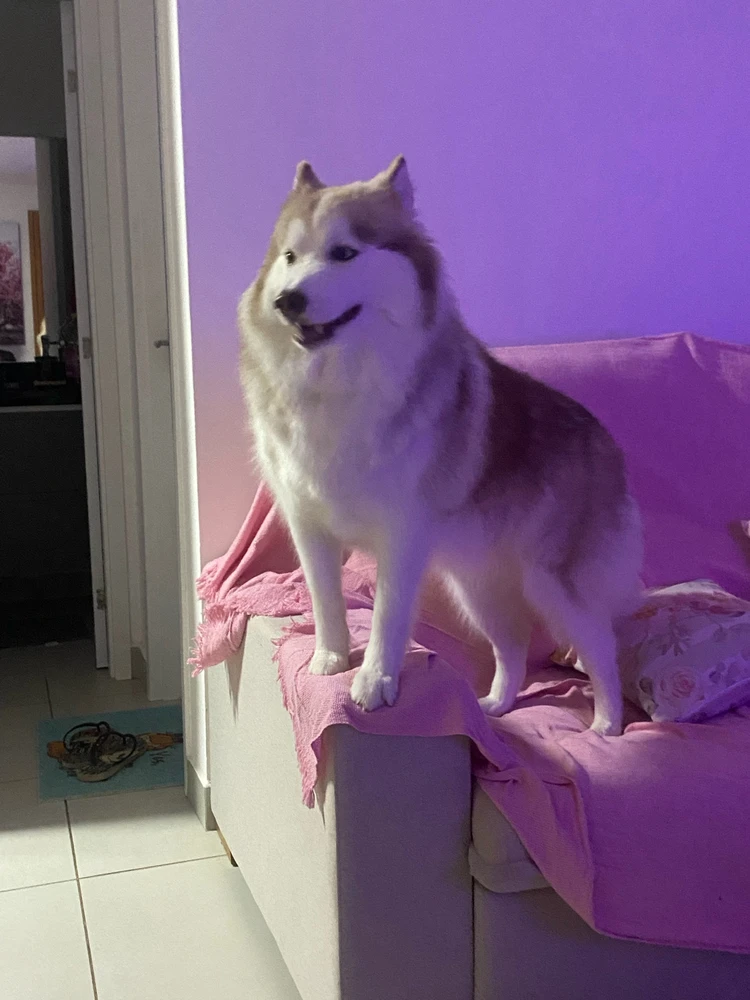 GIF enviado por Heric H