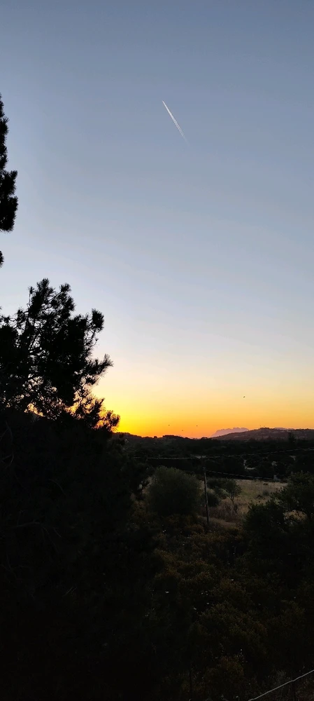 Image uploaded by Nanaki