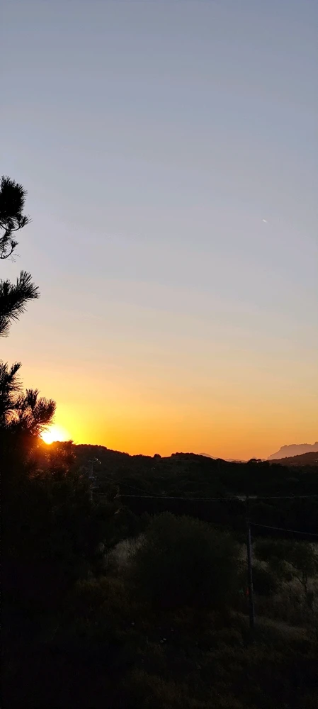 Image uploaded by Nanaki