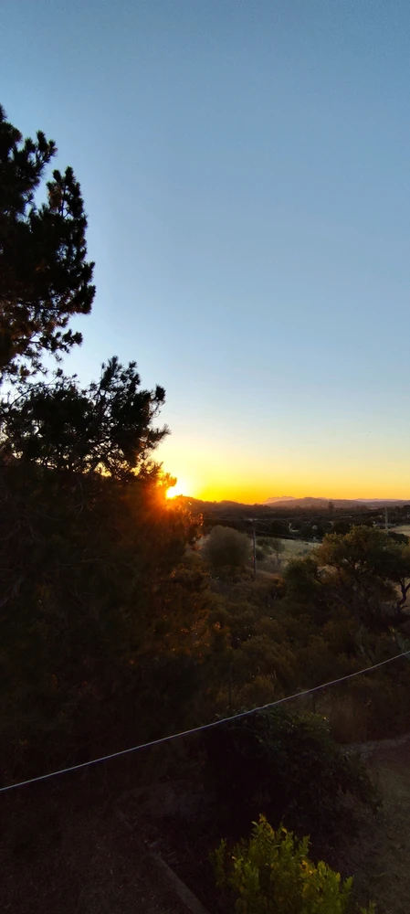 Image uploaded by Nanaki