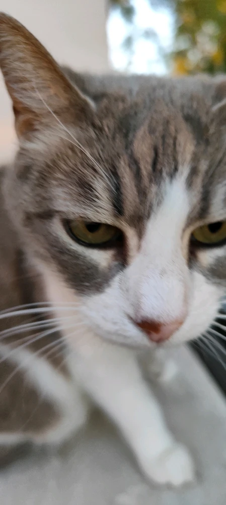 Image uploaded by Nanaki