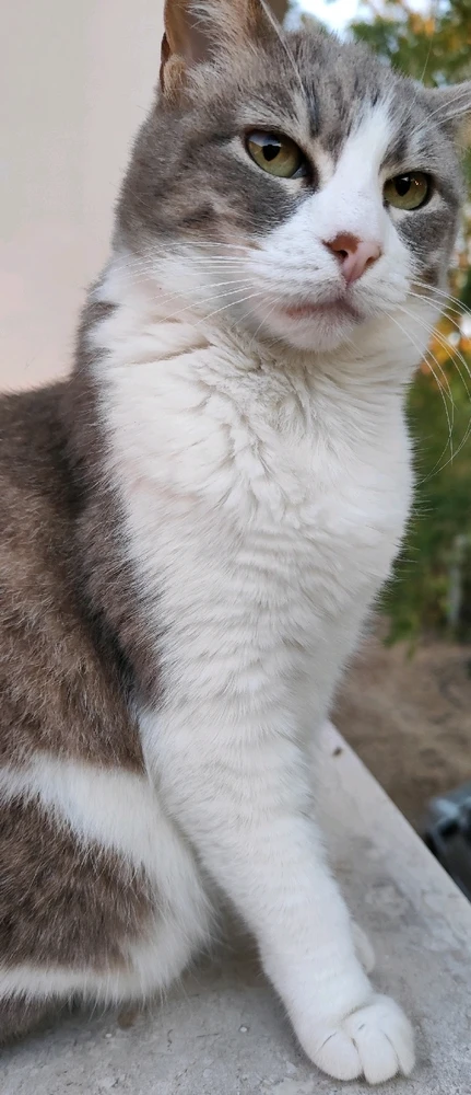 Image uploaded by Nanaki