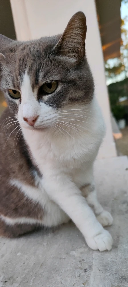 Image uploaded by Nanaki