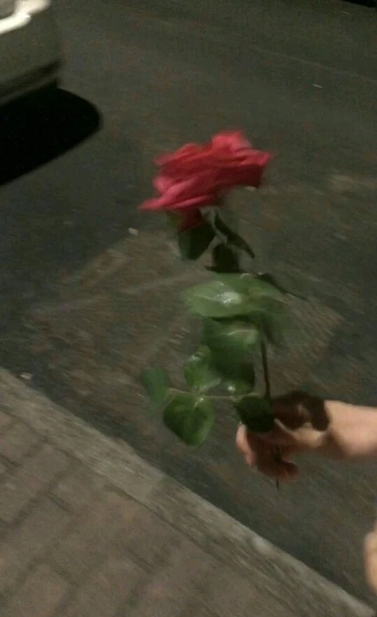 GIF được Lianh tải lên