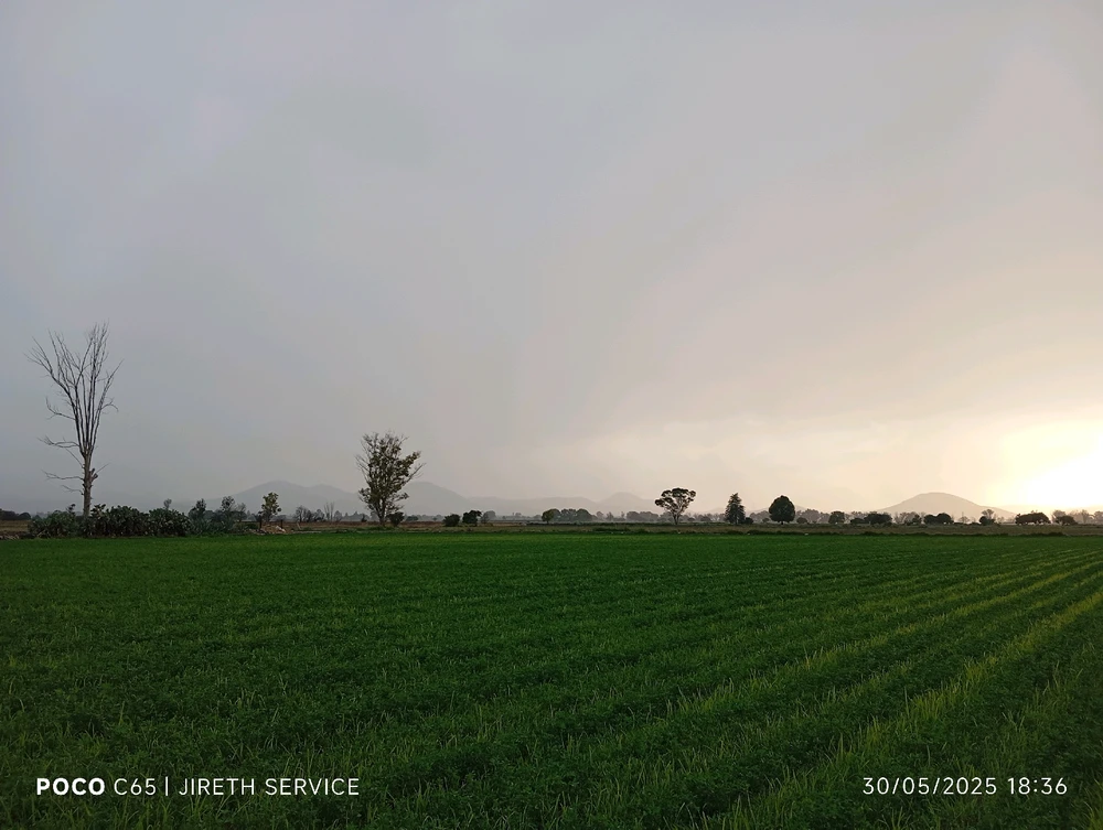 Imagen subida por Brayan Otoniel