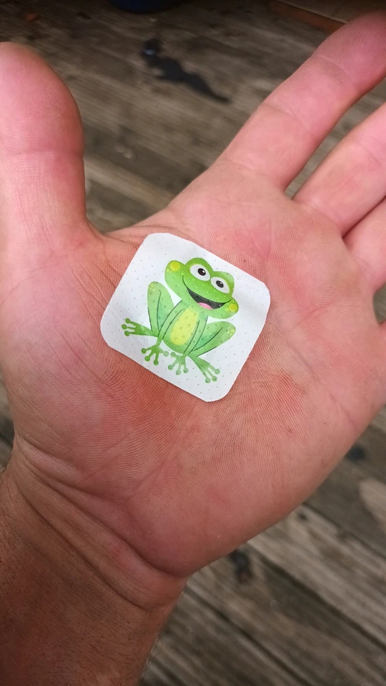 Obrázek nahrál Jan Horák