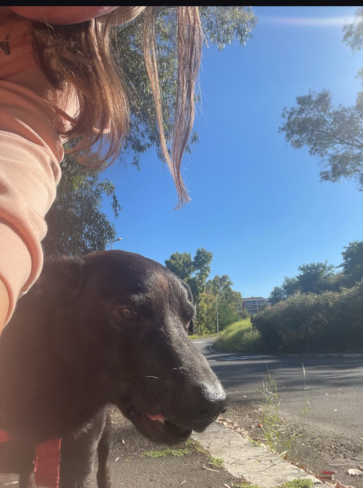 Immagine caricata da Anastasiya ִֶָ𓂃 ࣪˖ ִֶָ🐇་༘࿐