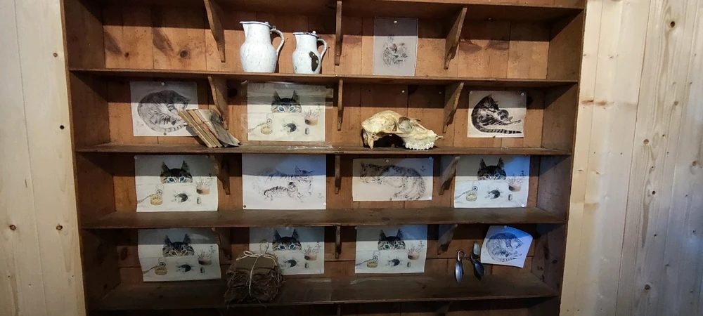 Image ajoutée par Stef