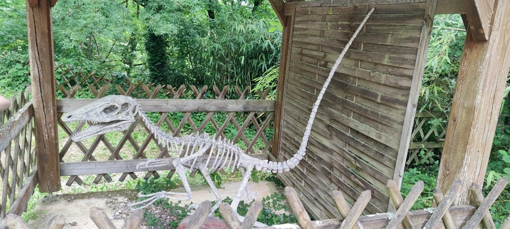 Image ajoutée par Stef